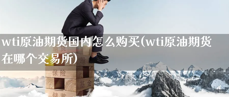 wti原油期货国内怎么购买(wti原油期货在哪个交易所)_https://www.baokan.net_期货百科_第1张