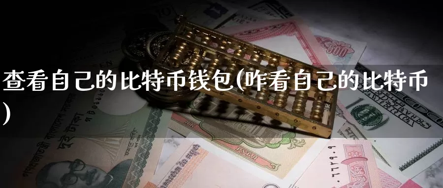 查看自己的比特币钱包(咋看自己的比特币)_https://www.baokan.net_币圈行情_第1张