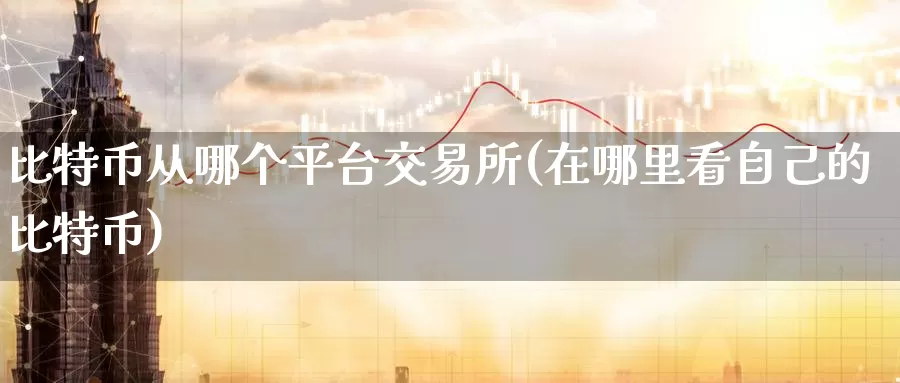 比特币从哪个平台交易所(在哪里看自己的比特币)_https://www.baokan.net_币圈行情_第1张