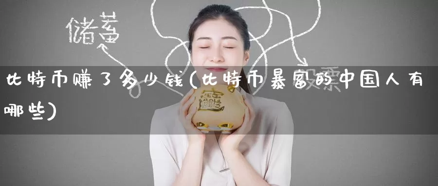 比特币赚了多少钱(比特币暴富的中国人有哪些)_https://www.baokan.net_币圈行情_第1张