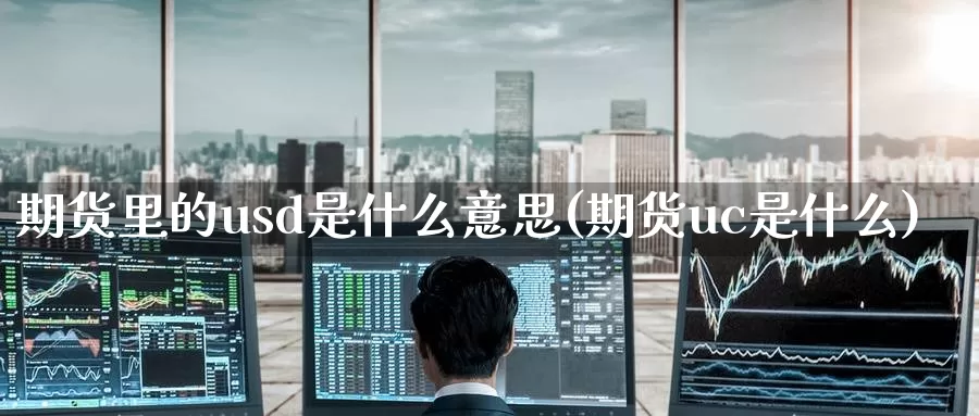 期货里的usd是什么意思(期货uc是什么)_https://www.baokan.net_内盘期货_第1张