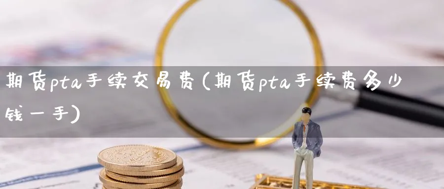 期货pta手续交易费(期货pta手续费多少钱一手)_https://www.baokan.net_国际期货_第1张
