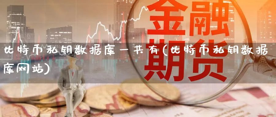 比特币私钥数据库一共有(比特币私钥数据库网站)_https://www.baokan.net_期货喊单_第1张