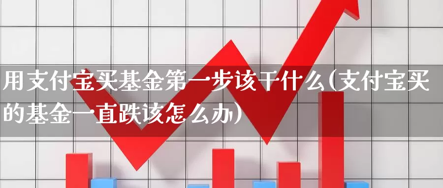 用支付宝买基金第一步该干什么(支付宝买的基金一直跌该怎么办)_https://www.baokan.net_纳指期货_第1张