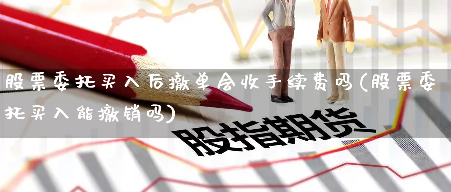 股票委托买入后撤单会收手续费吗(股票委托买入能撤销吗)_期货品种_第1张_宝勘金融网 股票委托买入后撤单会收手续费吗(股票委托买入能撤销吗)_https://www.baokan.net_期货品种_第1张