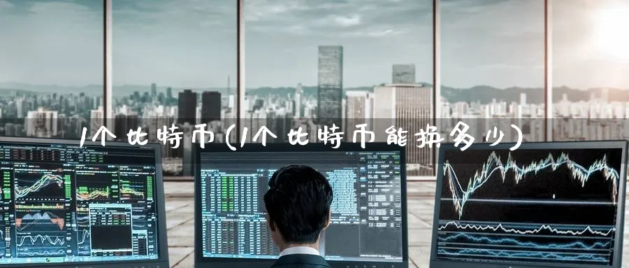 1个比特币(1个比特币能换多少)_https://www.baokan.net_国际期货_第1张