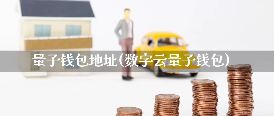 量子钱包地址(数字云量子钱包)_https://www.baokan.net_币圈行情_第1张