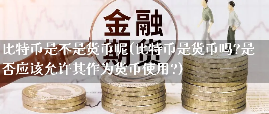 比特币是不是货币呢(比特币是货币吗?是否应该允许其作为货币使用?)_https://www.baokan.net_期货培训_第1张