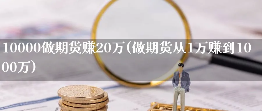 10000做期货赚20万(做期货从1万赚到1000万)_https://www.baokan.net_期货喊单_第1张