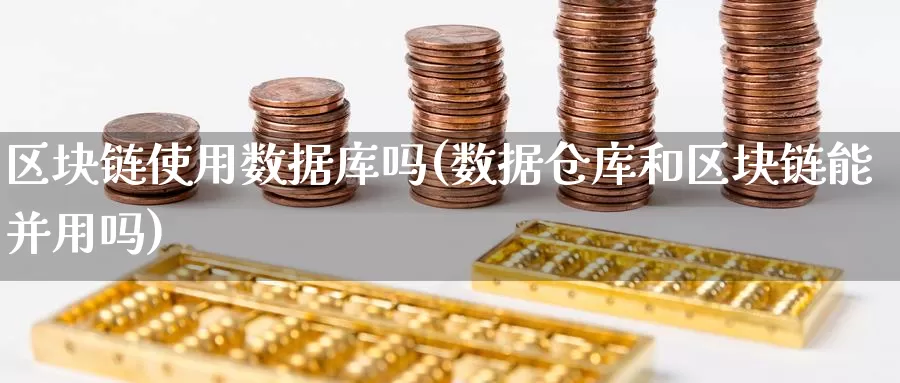 区块链使用数据库吗(数据仓库和区块链能并用吗)_https://www.baokan.net_币圈行情_第1张