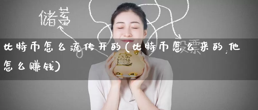 比特币怎么流传开的(比特币怎么来的,他怎么赚钱)_https://www.baokan.net_币圈行情_第1张