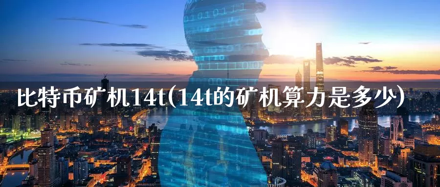 比特币矿机14t(14t的矿机算力是多少)_https://www.baokan.net_币圈行情_第1张