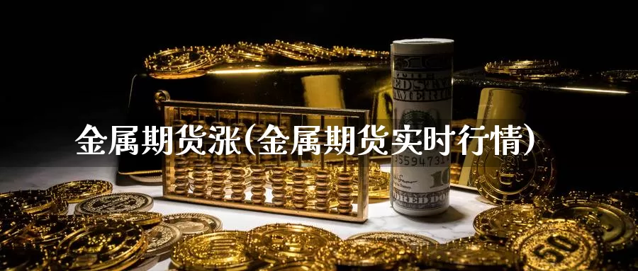 金属期货涨(金属期货实时行情)_https://www.baokan.net_期货培训_第1张