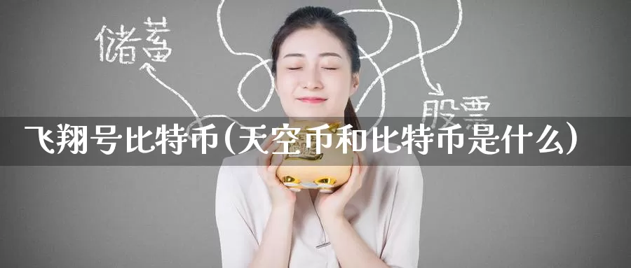 飞翔号比特币(天空币和比特币是什么)_https://www.baokan.net_币圈行情_第1张