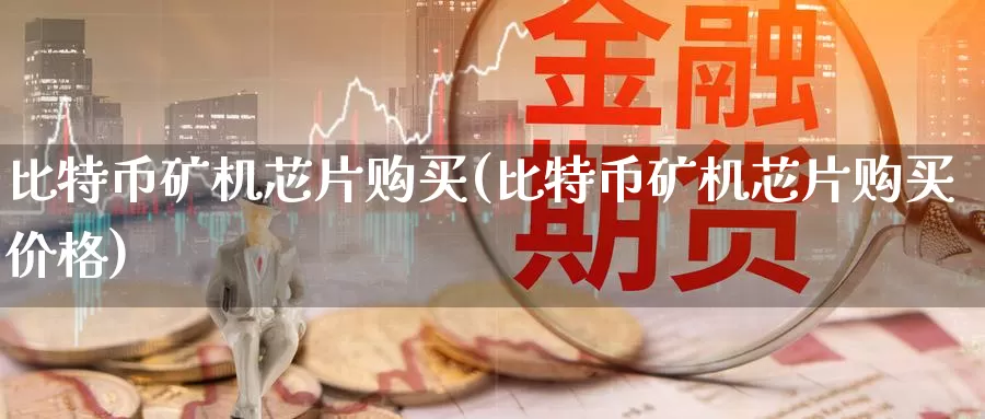 比特币矿机芯片购买(比特币矿机芯片购买价格)_https://www.baokan.net_币圈行情_第1张