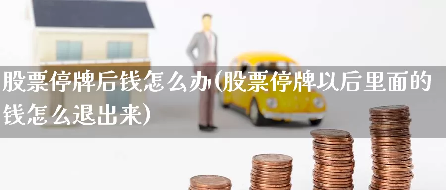 股票停牌后钱怎么办(股票停牌以后里面的钱怎么退出来)_https://www.baokan.net_期货百科_第1张