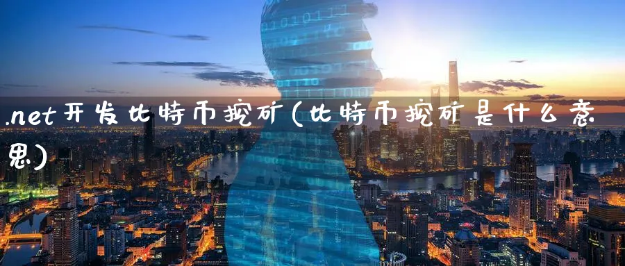 .net开发比特币挖矿(比特币挖矿是什么意思)_https://www.baokan.net_币圈行情_第1张