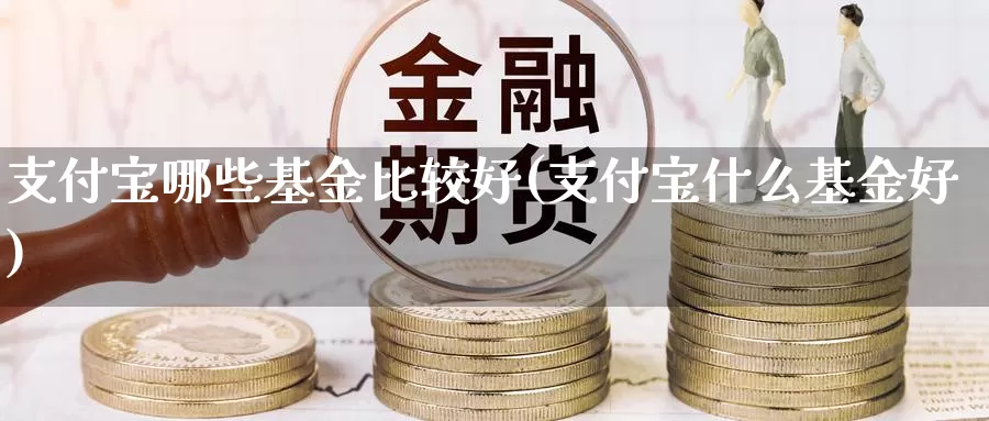 支付宝哪些基金比较好(支付宝什么基金好)_https://www.baokan.net_恒指期货_第1张