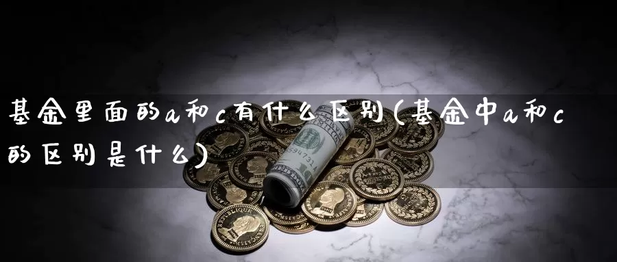 基金里面的a和c有什么区别(基金中a和c的区别是什么)_https://www.baokan.net_期货入门_第1张