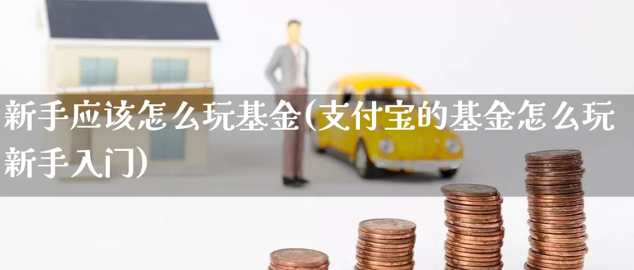 新手应该怎么玩基金(支付宝的基金怎么玩新手入门)_https://www.baokan.net_期货喊单_第1张