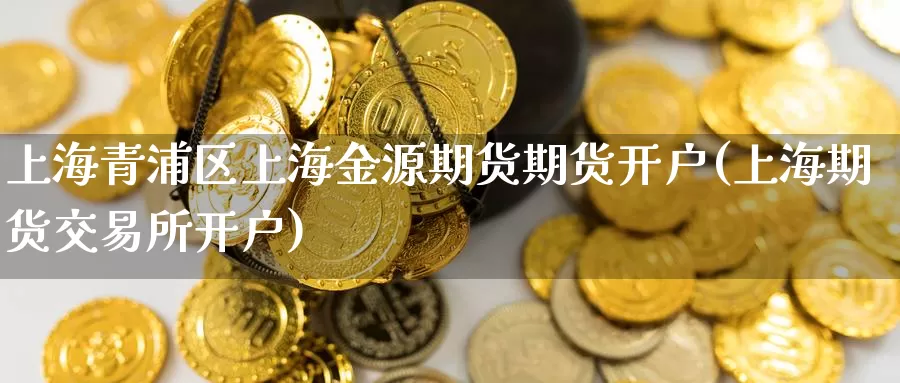 上海青浦区上海金源期货期货开户(上海期货交易所开户)_https://www.baokan.net_恒生指数_第1张