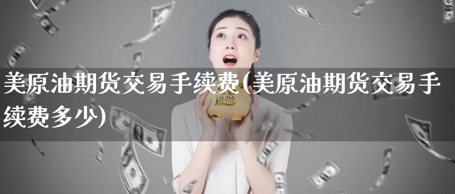 美原油期货交易手续费(美原油期货交易手续费多少)_https://www.baokan.net_股指期货_第1张