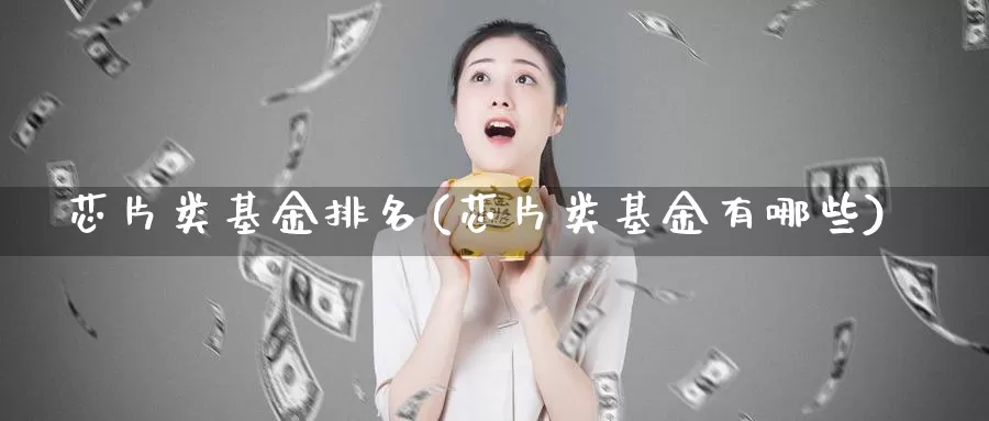 芯片类基金排名(芯片类基金有哪些)_期货入门_第1张_宝勘金融网 芯片类基金排名(芯片类基金有哪些)_https://www.baokan.net_期货入门_第1张