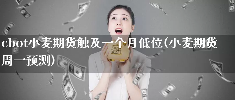 cbot小麦期货触及一个月低位(小麦期货周一预测)_https://www.baokan.net_期货入门_第1张