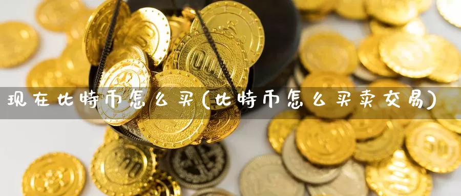 现在比特币怎么买(比特币怎么买卖交易)_https://www.baokan.net_币圈行情_第1张