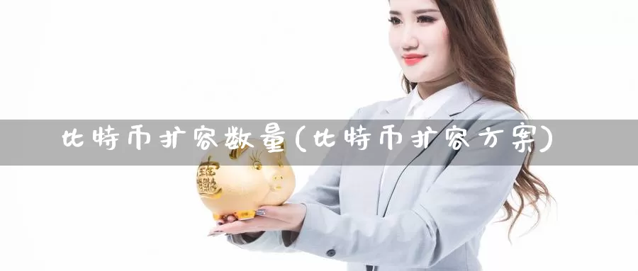 比特币扩容数量(比特币扩容方案)_https://www.baokan.net_币圈行情_第1张