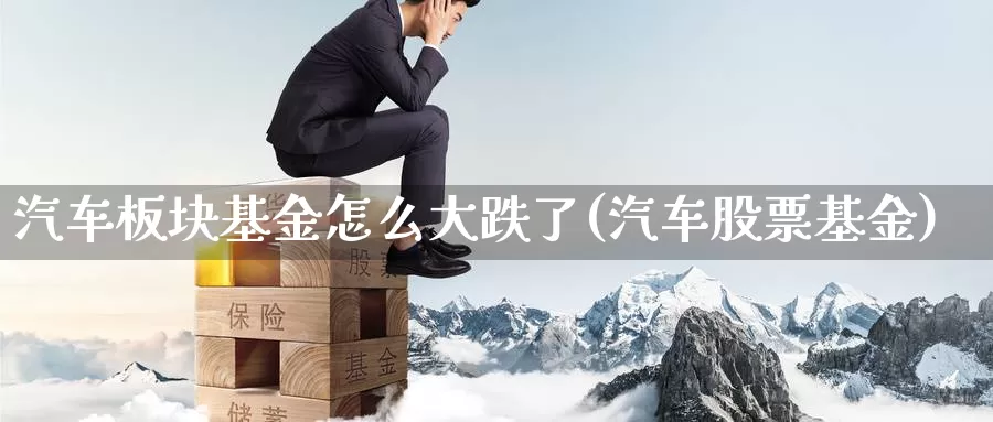汽车板块基金怎么大跌了(汽车股票基金)_https://www.baokan.net_期货平台_第1张