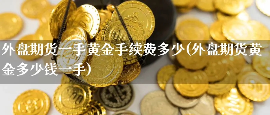 外盘期货一手黄金手续费多少(外盘期货黄金多少钱一手)_https://www.baokan.net_期货入门_第1张