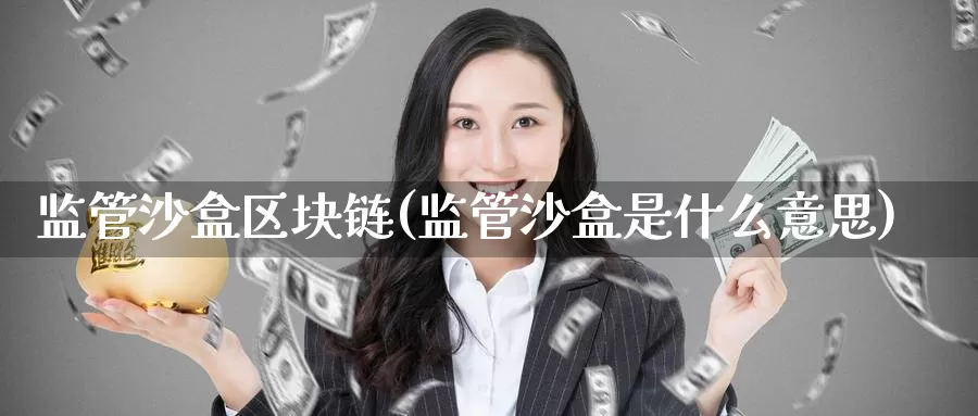监管沙盒区块链(监管沙盒是什么意思)_https://www.baokan.net_币圈行情_第1张