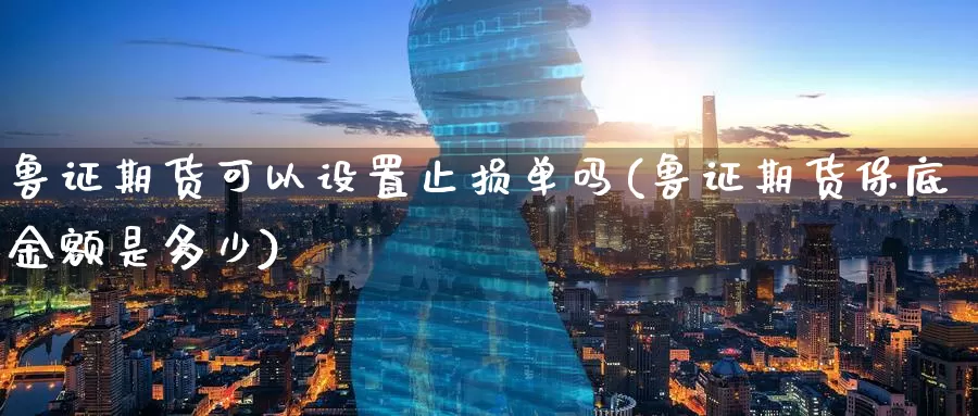 鲁证期货可以设置止损单吗(鲁证期货保底金额是多少)_https://www.baokan.net_期货开户_第1张
