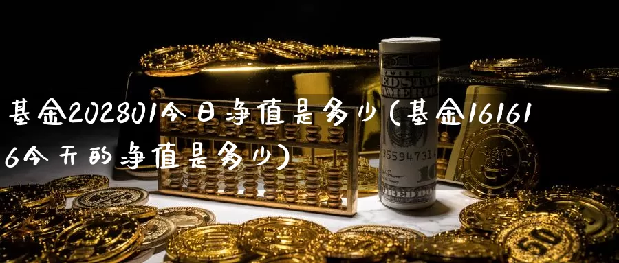 基金202801今日净值是多少(基金161616今天的净值是多少)_https://www.baokan.net_期货喊单_第1张
