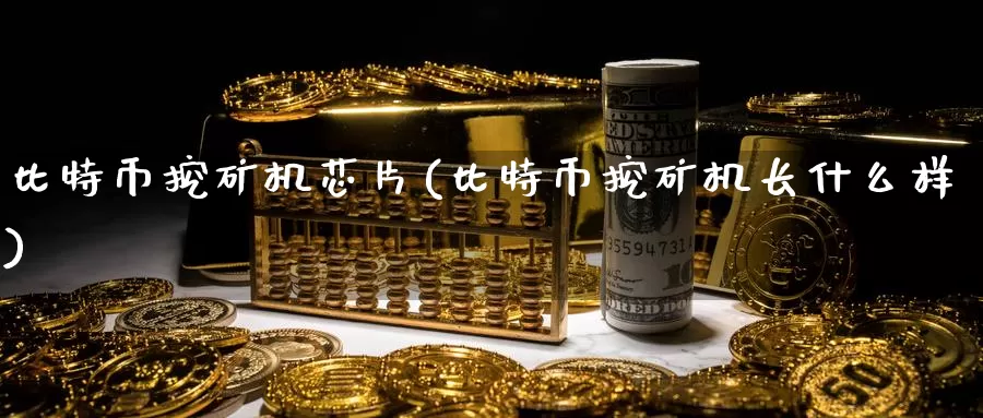 比特币挖矿机芯片(比特币挖矿机长什么样)_https://www.baokan.net_币圈行情_第1张
