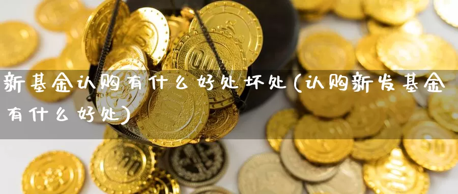 新基金认购有什么好处坏处(认购新发基金有什么好处)_https://www.baokan.net_期货平台_第1张