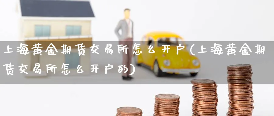 上海黄金期货交易所怎么开户(上海黄金期货交易所怎么开户的)_https://www.baokan.net_期货分析_第1张