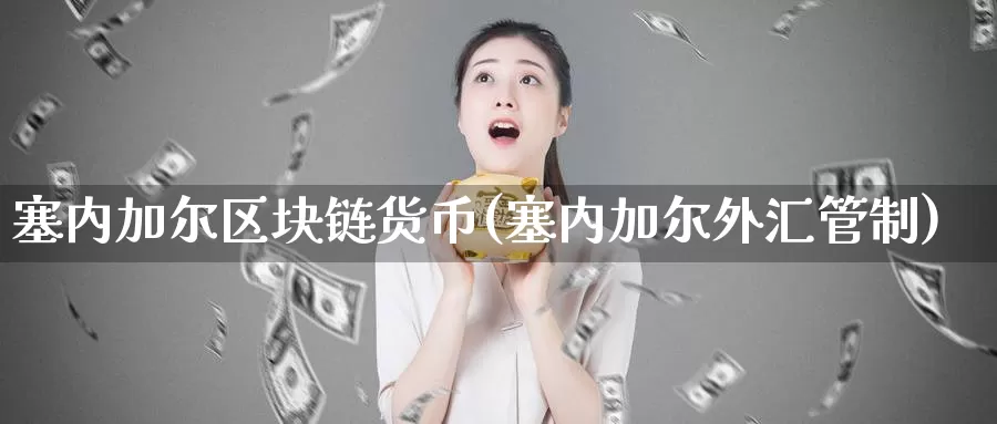 塞内加尔区块链货币(塞内加尔外汇管制)_https://www.baokan.net_币圈行情_第1张