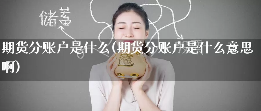 期货分账户是什么(期货分账户是什么意思啊)_黄金期货_第1张_宝勘金融网 期货分账户是什么(期货分账户是什么意思啊)_https://www.baokan.net_黄金期货_第1张