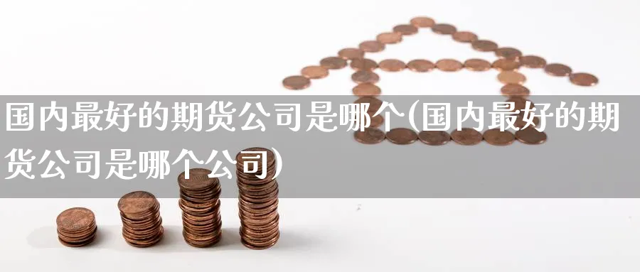 国内最好的期货公司是哪个(国内最好的期货公司是哪个公司)_https://www.baokan.net_期货培训_第1张