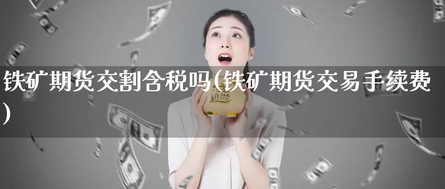铁矿期货交割含税吗(铁矿期货交易手续费)_https://www.baokan.net_内盘期货_第1张