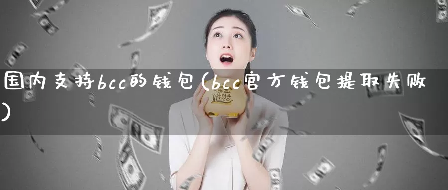 国内支持bcc的钱包(bcc官方钱包提取失败)_https://www.baokan.net_币圈行情_第1张