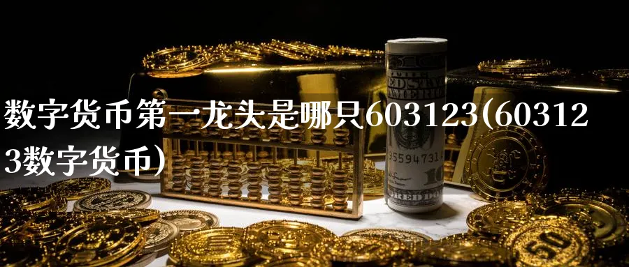 数字货币第一龙头是哪只603123(603123数字货币)_https://www.baokan.net_期货品种_第1张