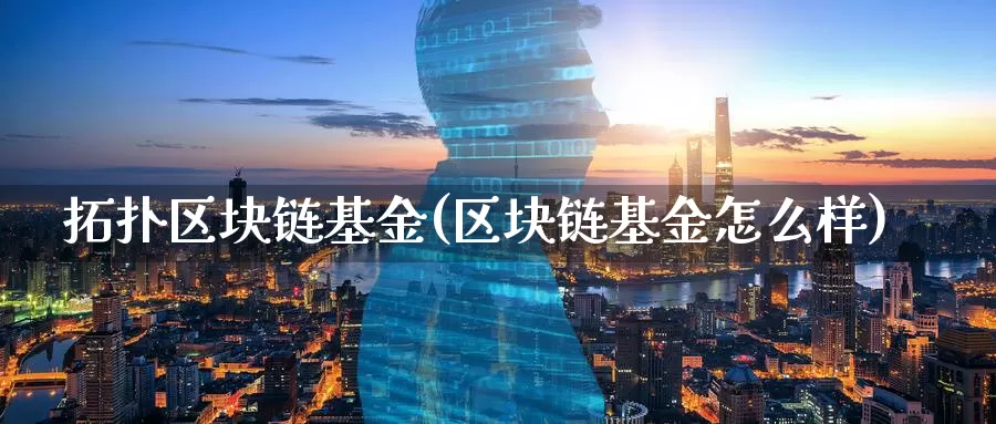 拓扑区块链基金(区块链基金怎么样)_https://www.baokan.net_币圈行情_第1张