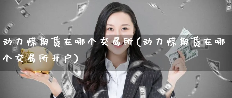 动力煤期货在哪个交易所(动力煤期货在哪个交易所开户)_https://www.baokan.net_期货喊单_第1张