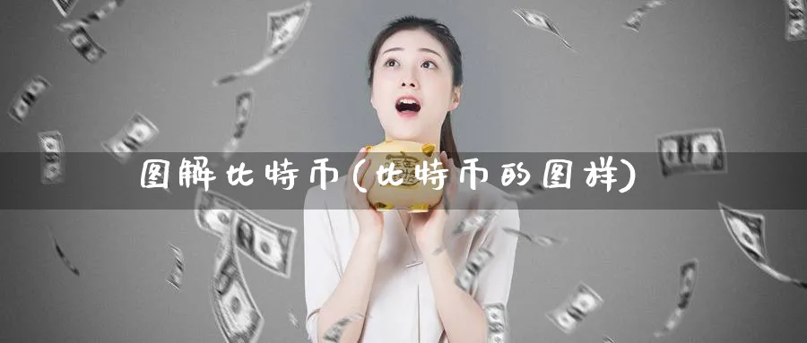 图解比特币(比特币的图样)_https://www.baokan.net_币圈行情_第1张