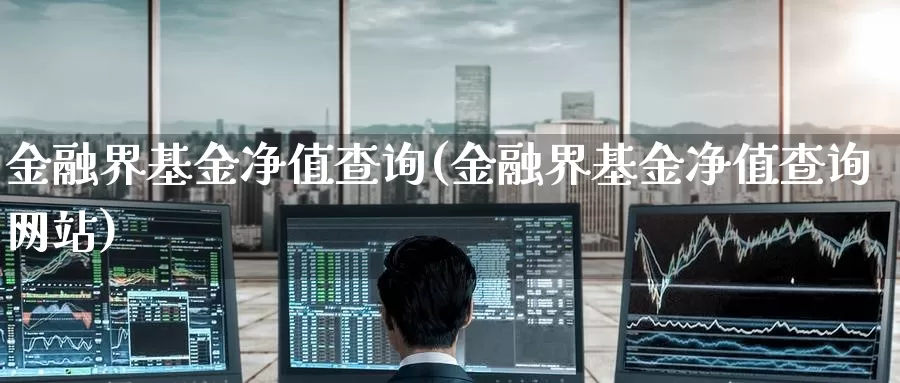 金融界基金净值查询(金融界基金净值查询网站)_https://www.baokan.net_纳指期货_第1张