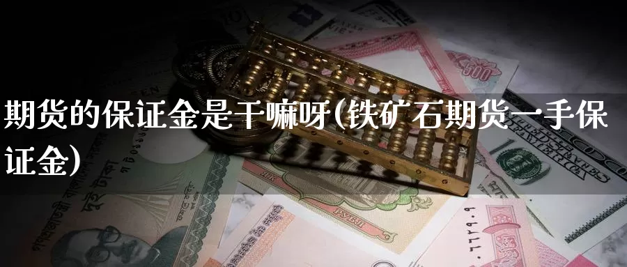期货的保证金是干嘛呀(铁矿石期货一手保证金)_https://www.baokan.net_期货品种_第1张
