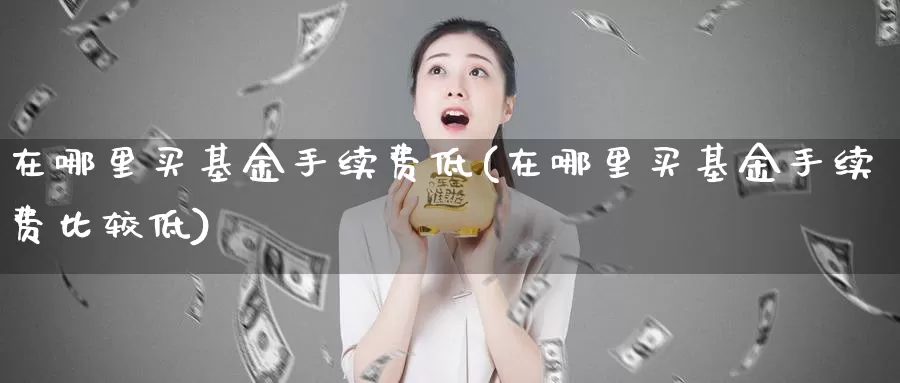 在哪里买基金手续费低(在哪里买基金手续费比较低)_https://www.baokan.net_期货平台_第1张